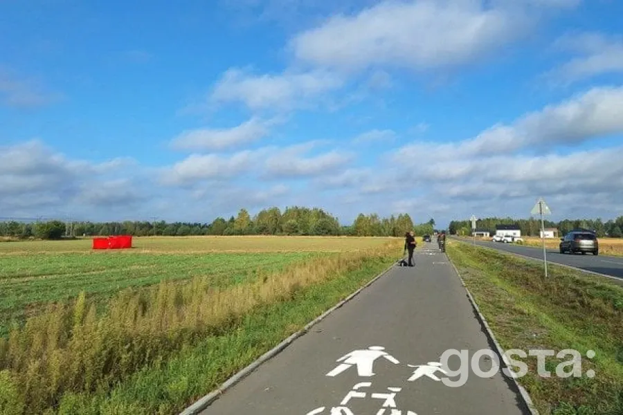 Союзники Варшави: Інцидент як серйозна провокація для Європи та НАТО