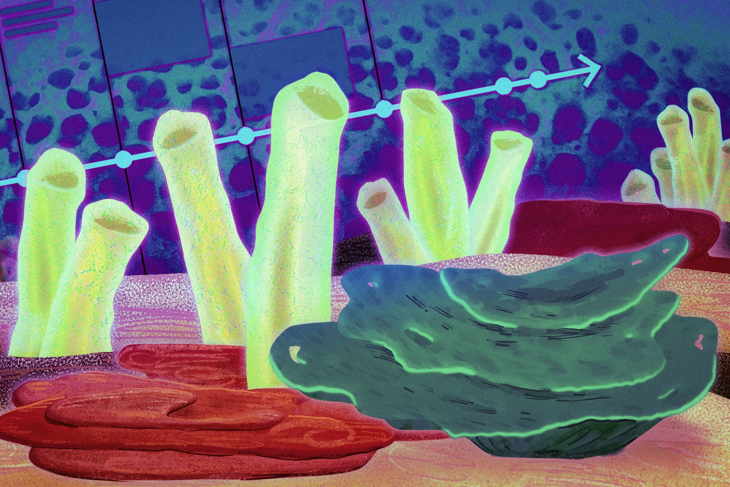 Перші тварини Землі: нові відкриття про давніх губок