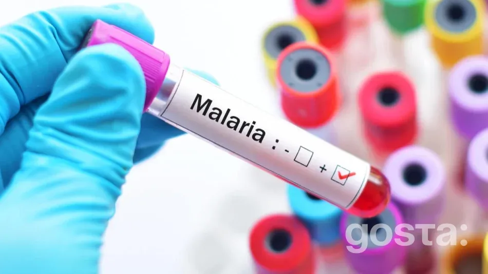 Як передається малярія