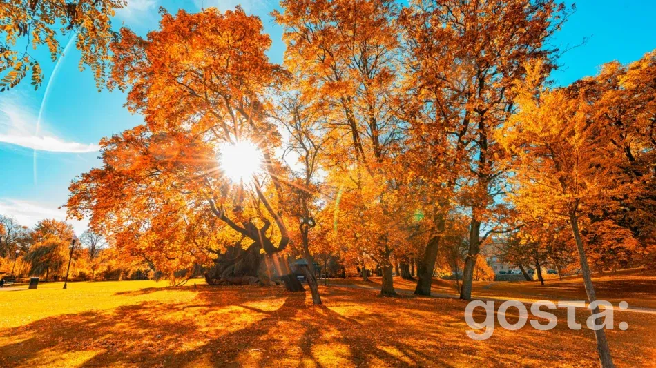 Свята у жовтні 2025 року