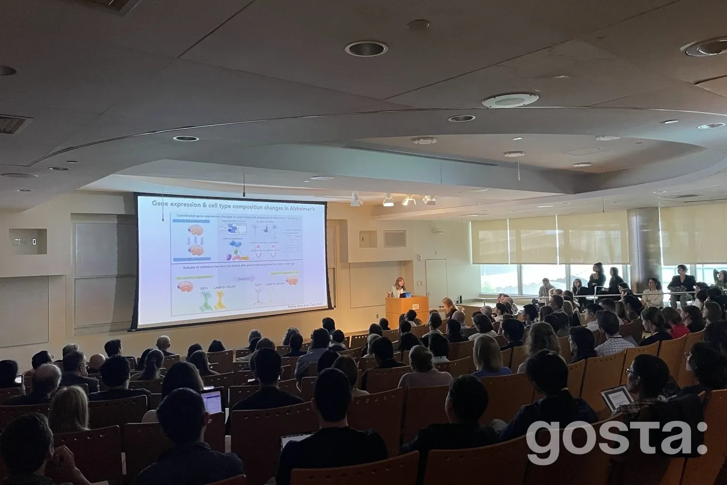 Як взаємодія нервової та імунної систем може допомогти у боротьбі з хворобами старіння