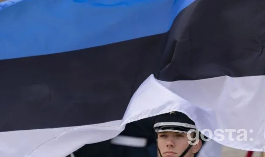 Естонія заявила про готовність збивати російські дрони: МЗС окреслило кроки для захисту неба і координації з НАТО