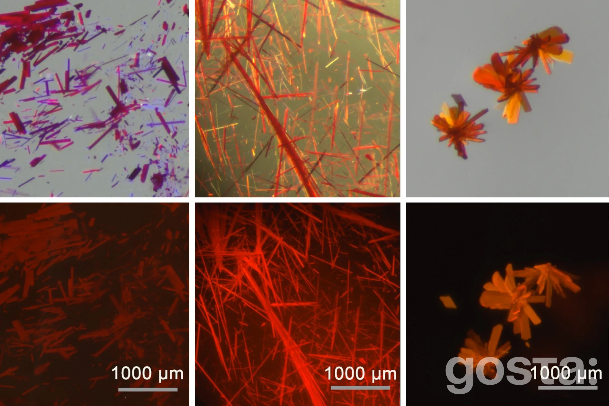 Нова генерація флуоресцентних молекул від MIT: прорив у медичній візуалізації?