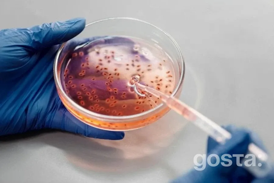 Антибіотикорезистентність: загроза для здоров'я мільйонів людей