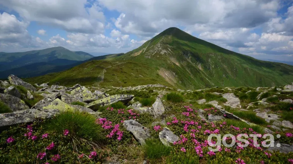 Гори України Говерла