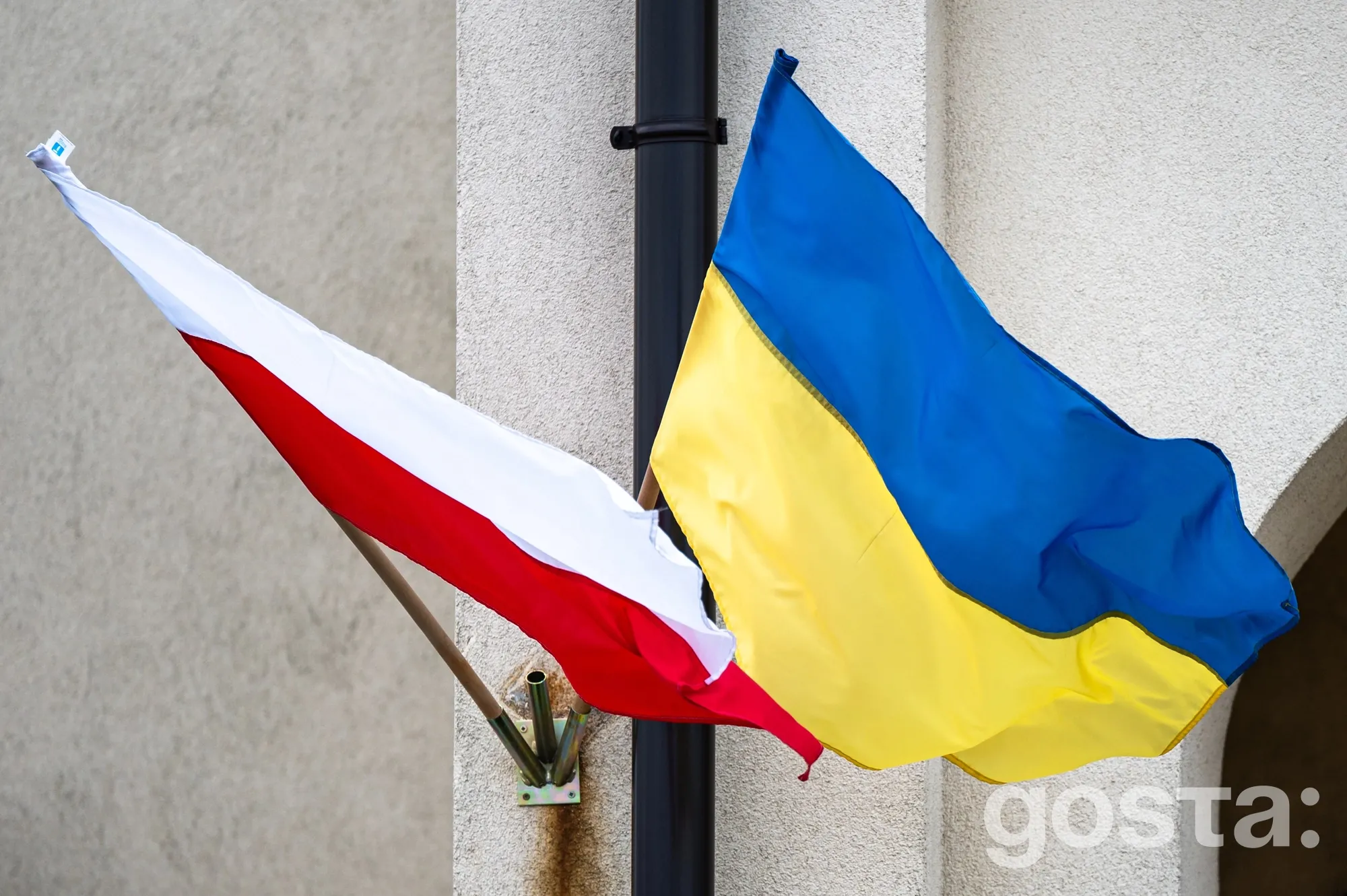 Волинська трагедія причини