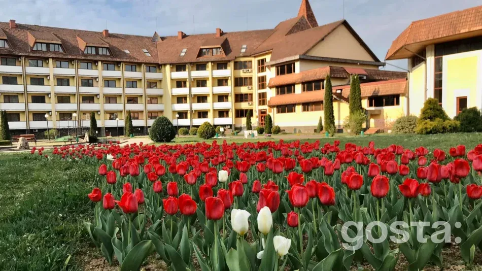Kvitka Polonyny Sanatorium in Zakarpattia