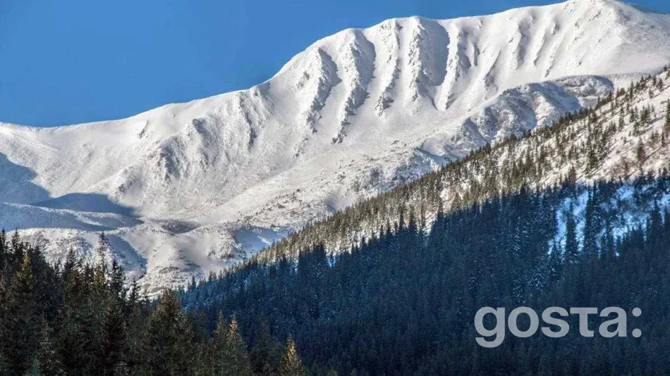 Ukrainian Mountains – Rebra