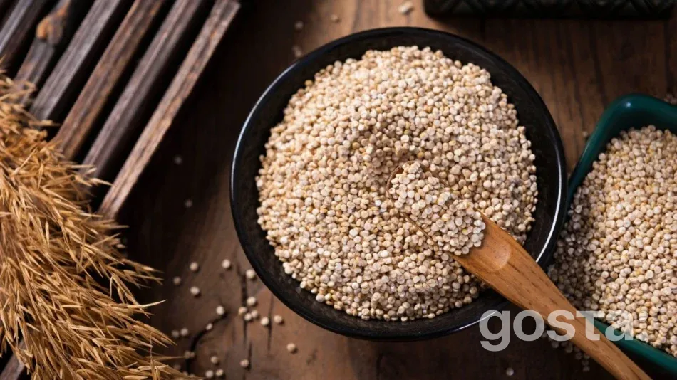 Рослинні білки продукти