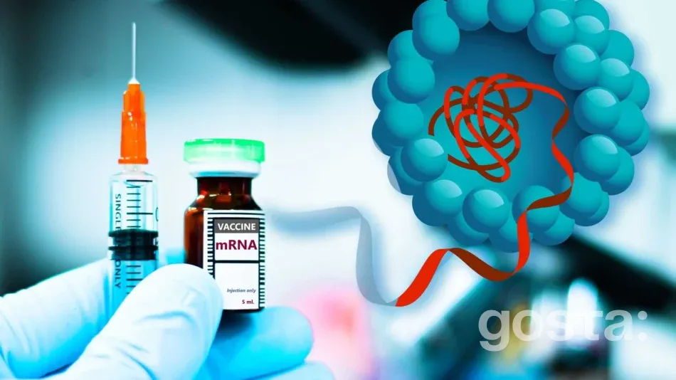мРНК-вакцини дешевше і з тим самим ефектом? MIT показав наночастинки, що дають такий самий імунітет у мишей при дозі у 100 разів меншій