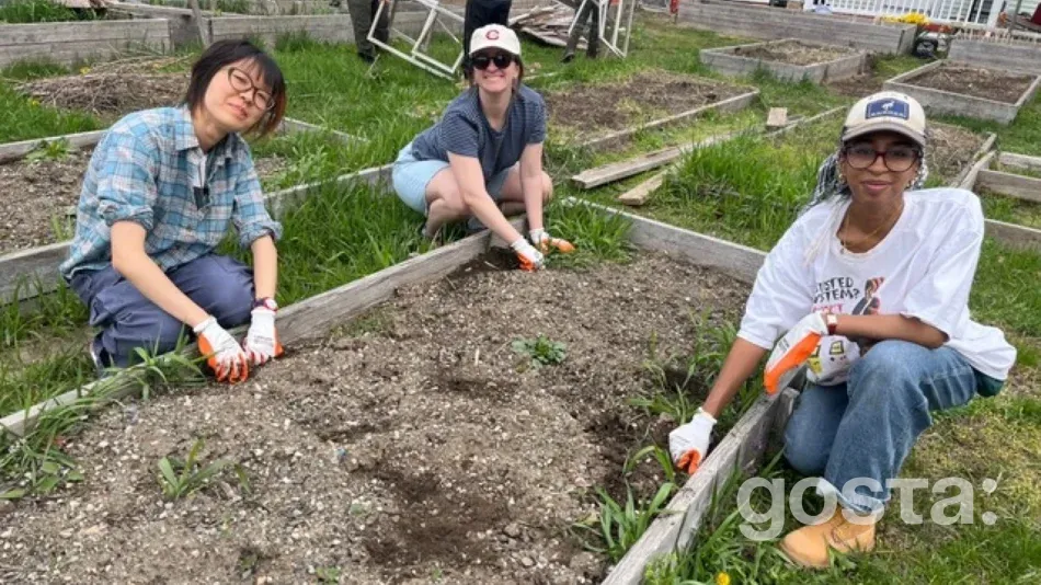 MIT запускає курс з урбаністичного фермерства: студенти змінюють статус зонування ферми в Бостоні й зводять інфраструктуру для громади