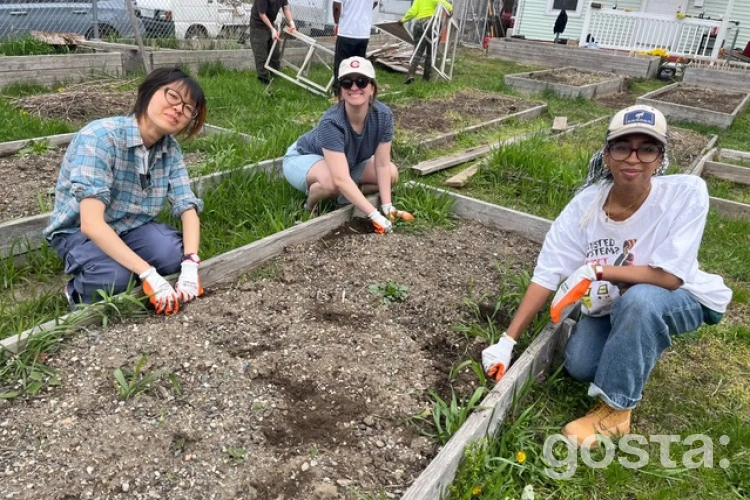 MIT запускає курс з урбаністичного фермерства: студенти змінюють статус зонування ферми в Бостоні й зводять інфраструктуру для громади