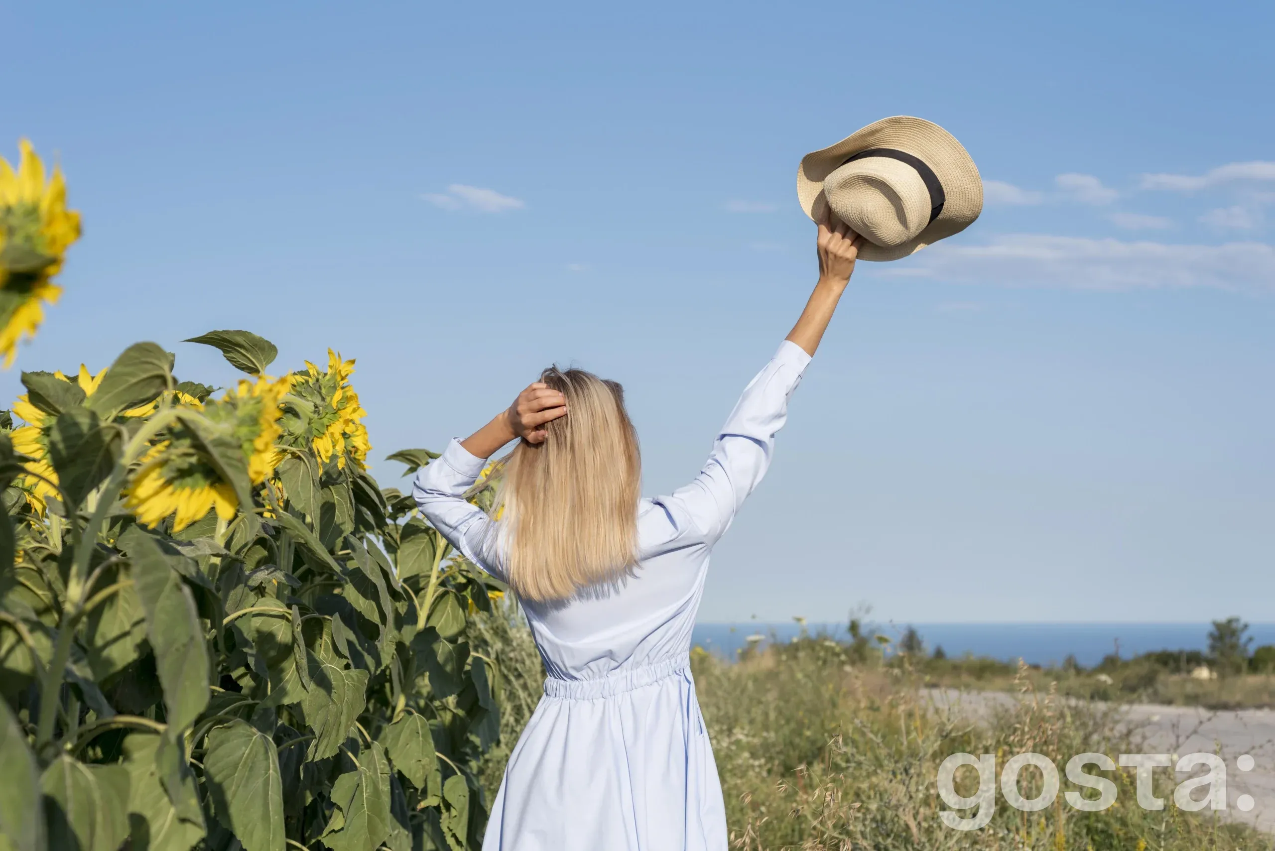 Оригінальні побажання гарного дня