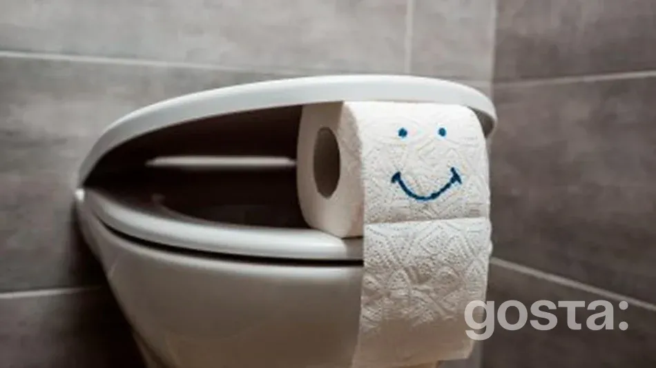 Всесвітній день туалету