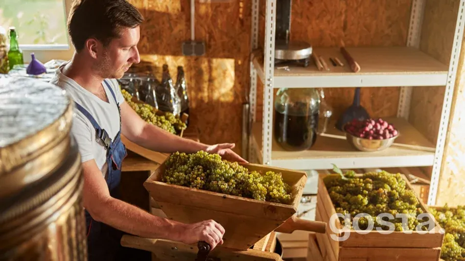 День виноградаря і винороба