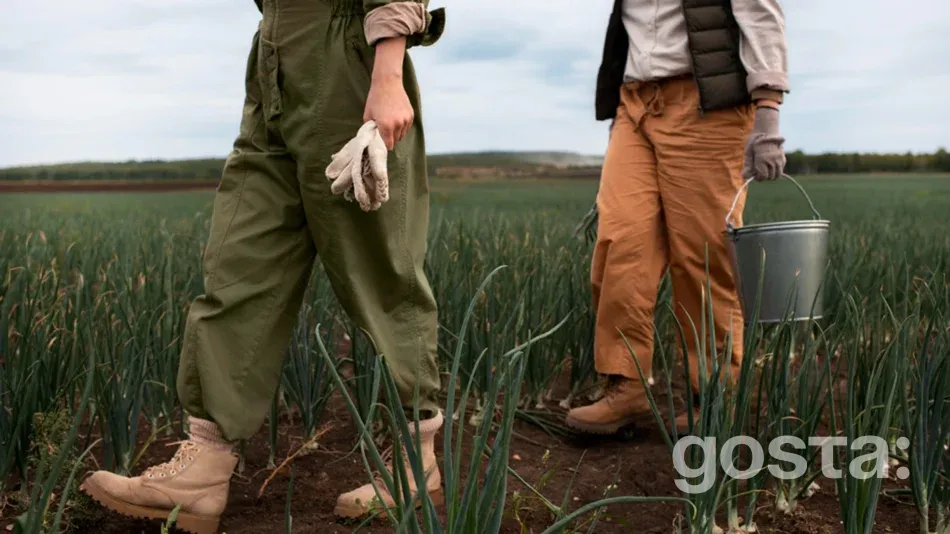 День працівників сільського господарства