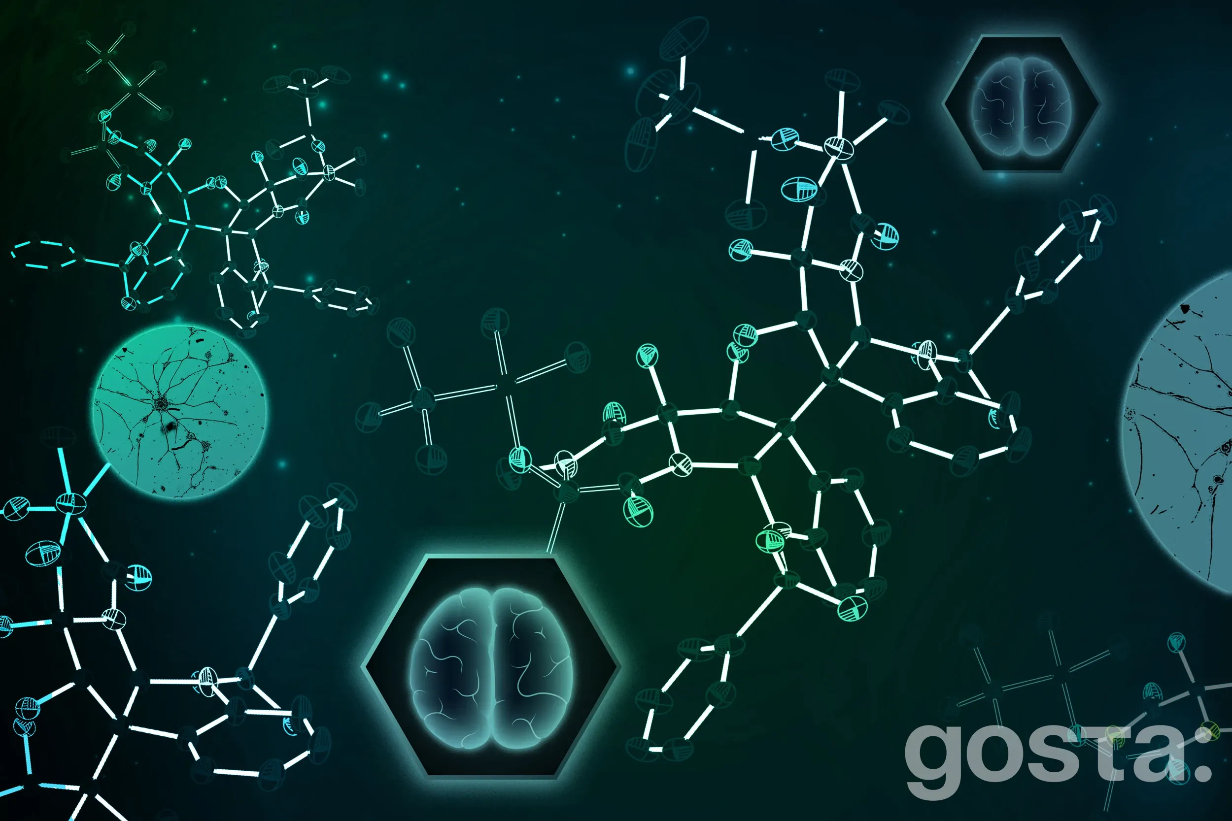 MIT вперше синтезував вертицилін A: чи стане грибкова молекула проривом проти дитячих пухлин мозку?