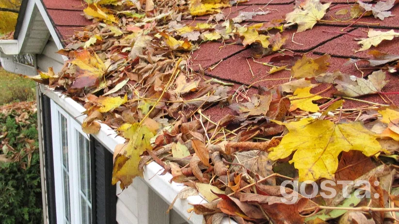 Autumn roof covered with leaves before cleaning