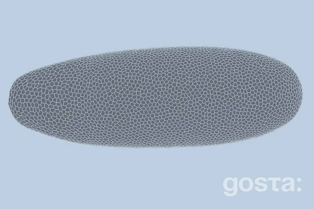 Глибоке навчання MIT передбачає, як формується життя? 90% точність на ембріоні плодової мушки