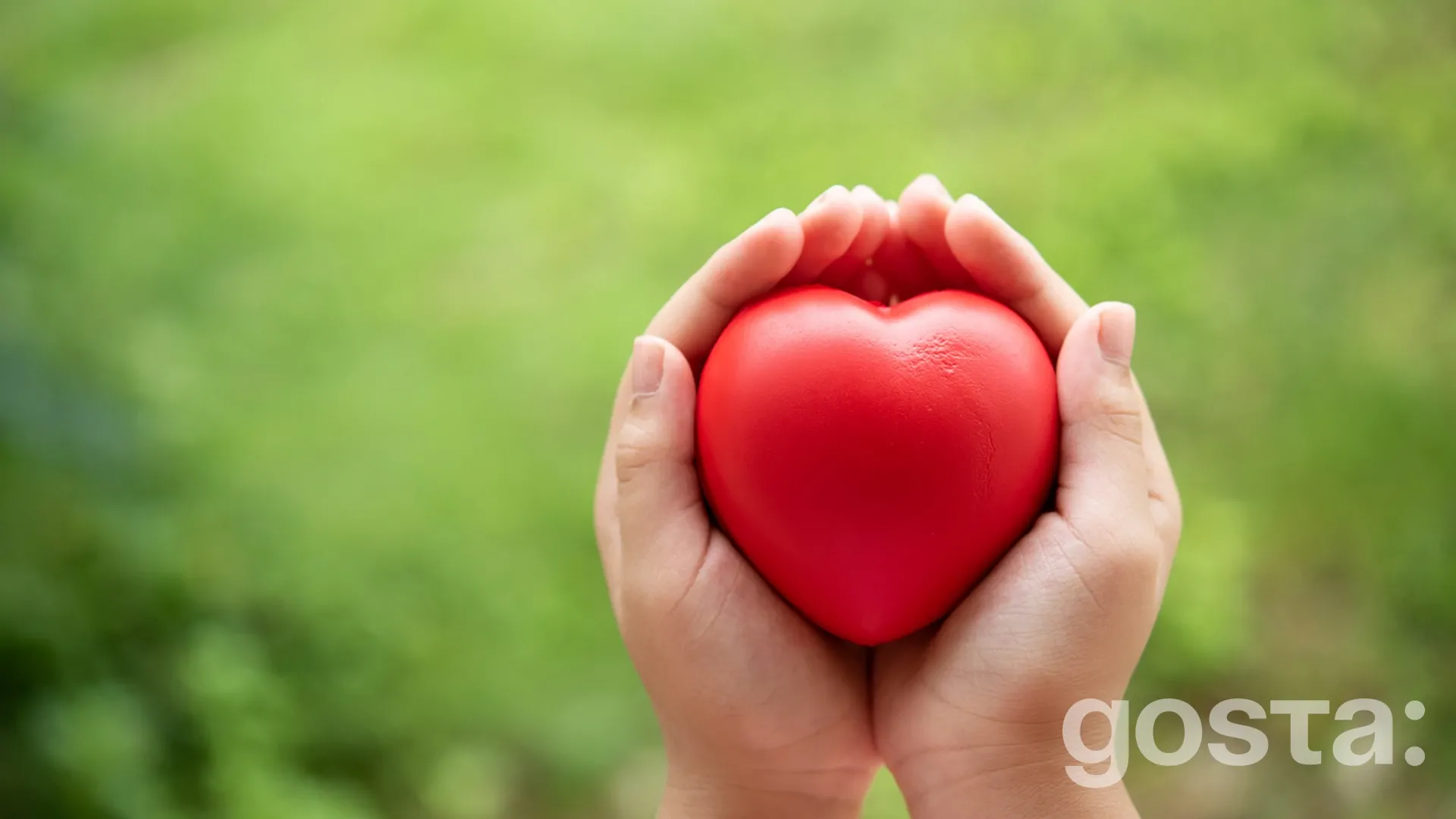 День благодійництва