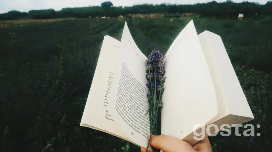 День короткого оповідання