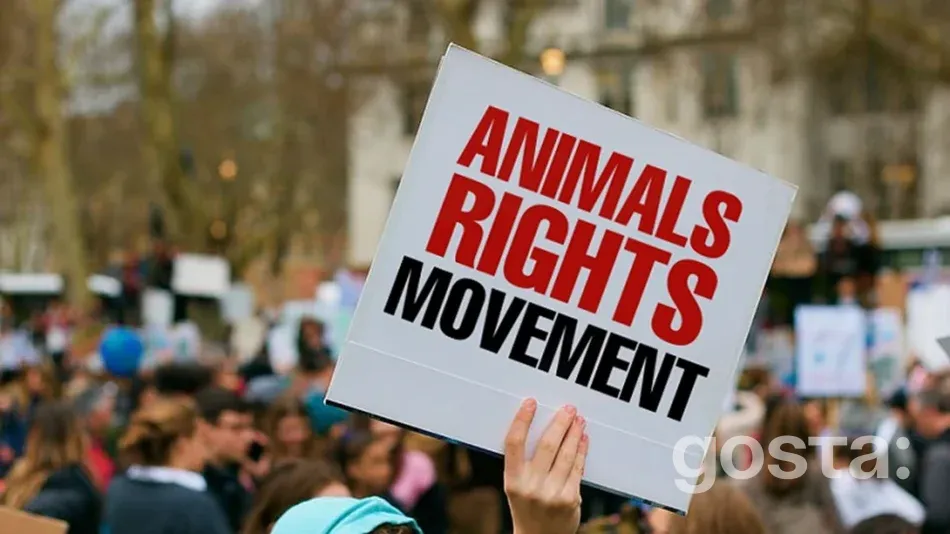 Всесвітній день прав тварин