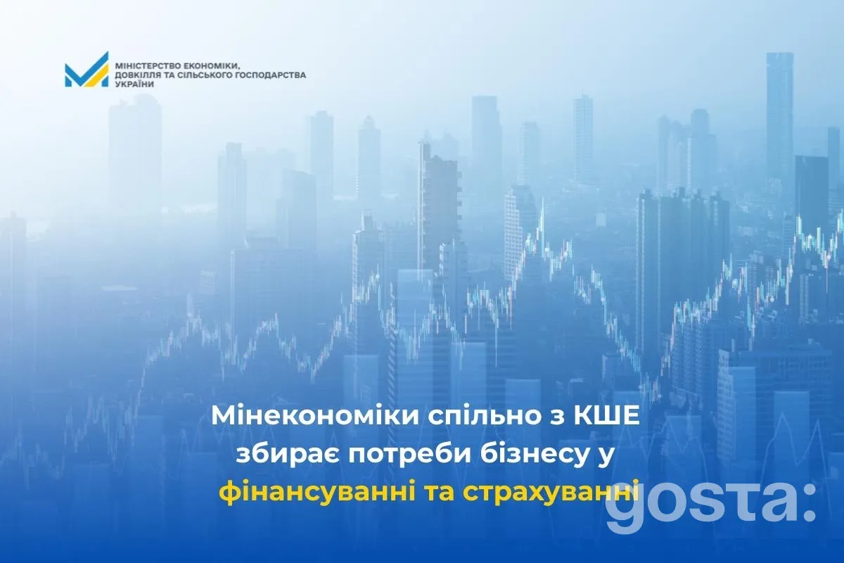 Міністерство економіки України збирає дані бізнесу для покращення фінансування та страхування до кінця січня.