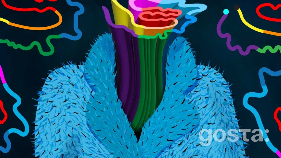 Хвороба Альцгеймера: МІТ уперше розкрив «фаззі»-оболонку Tau за допомогою NMR – чи наблизить це ліки?