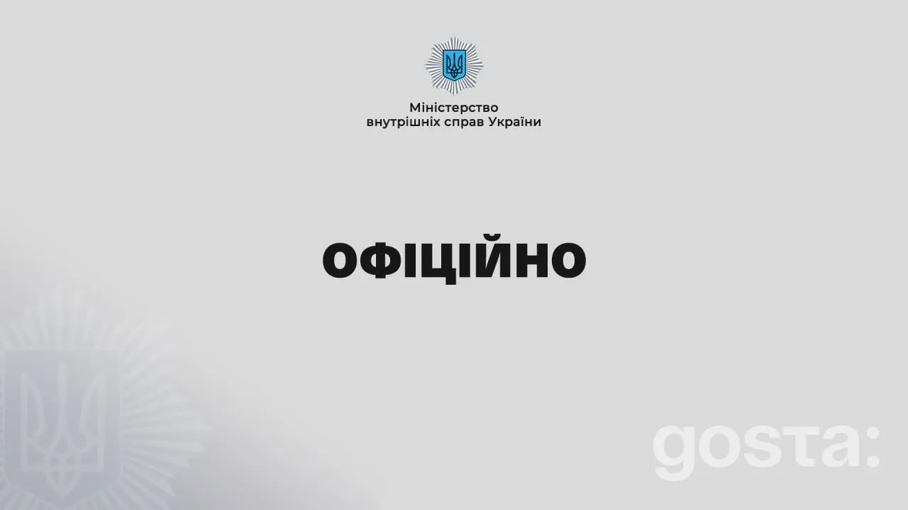 Єдиний реєстр зброї на паузі: коли та чому сервіс МВС буде недоступним
