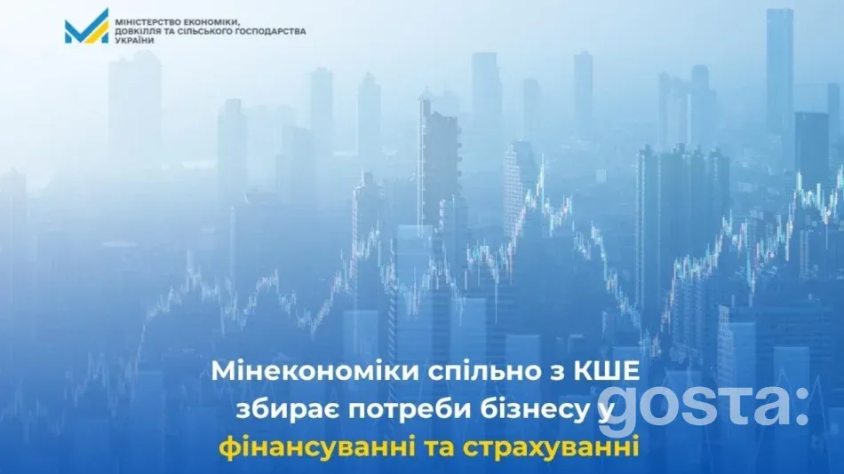 Опитування бізнесу про фінансування та страхування: держава збирає дані до кінця січня – як долучитися?