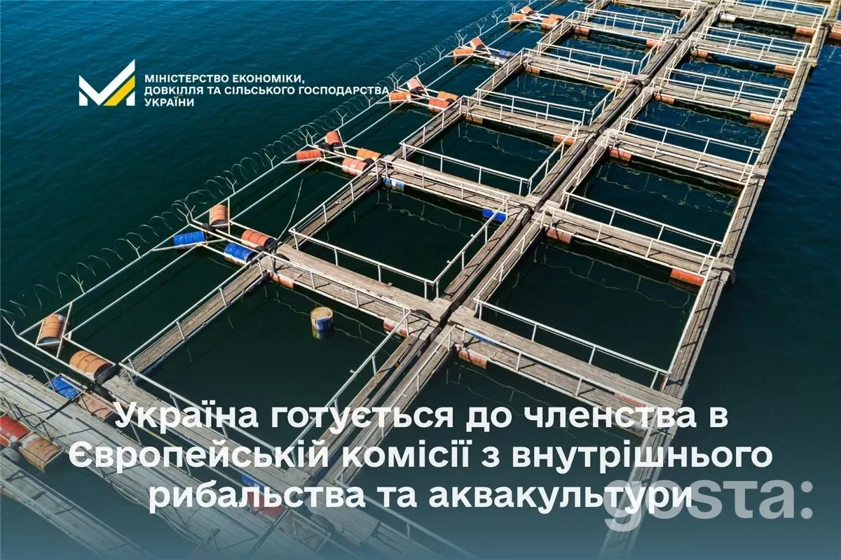 Кабмін схвалив проєкт листа до ФАО щодо членства України в EIFAAC – що це змінить для рибної галузі?