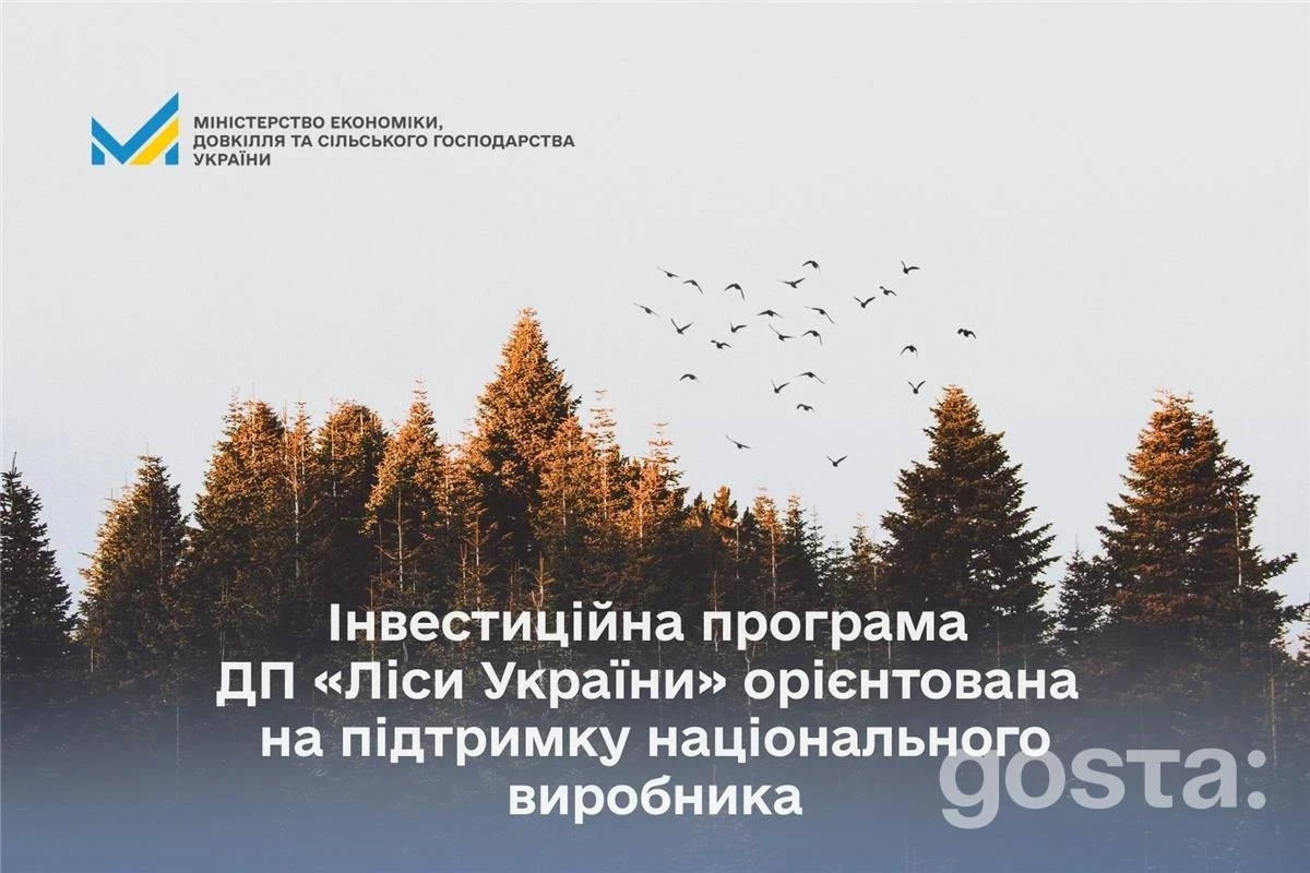 ДП «Ліси України» інвестує 4,1 млрд грн у 2026 році: 2,1 млрд грн для українських виробників – що саме закуплять і де будуватимуть?