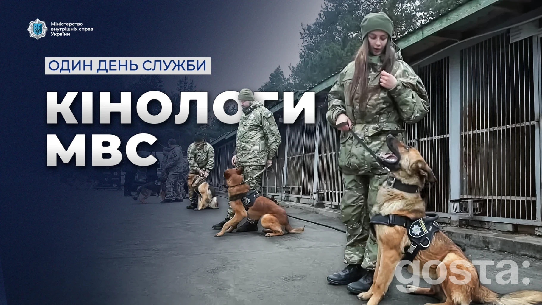 Службові собаки Національної поліції України: як один день у київському Кінологічному центрі перетворюється на безпеку міста?