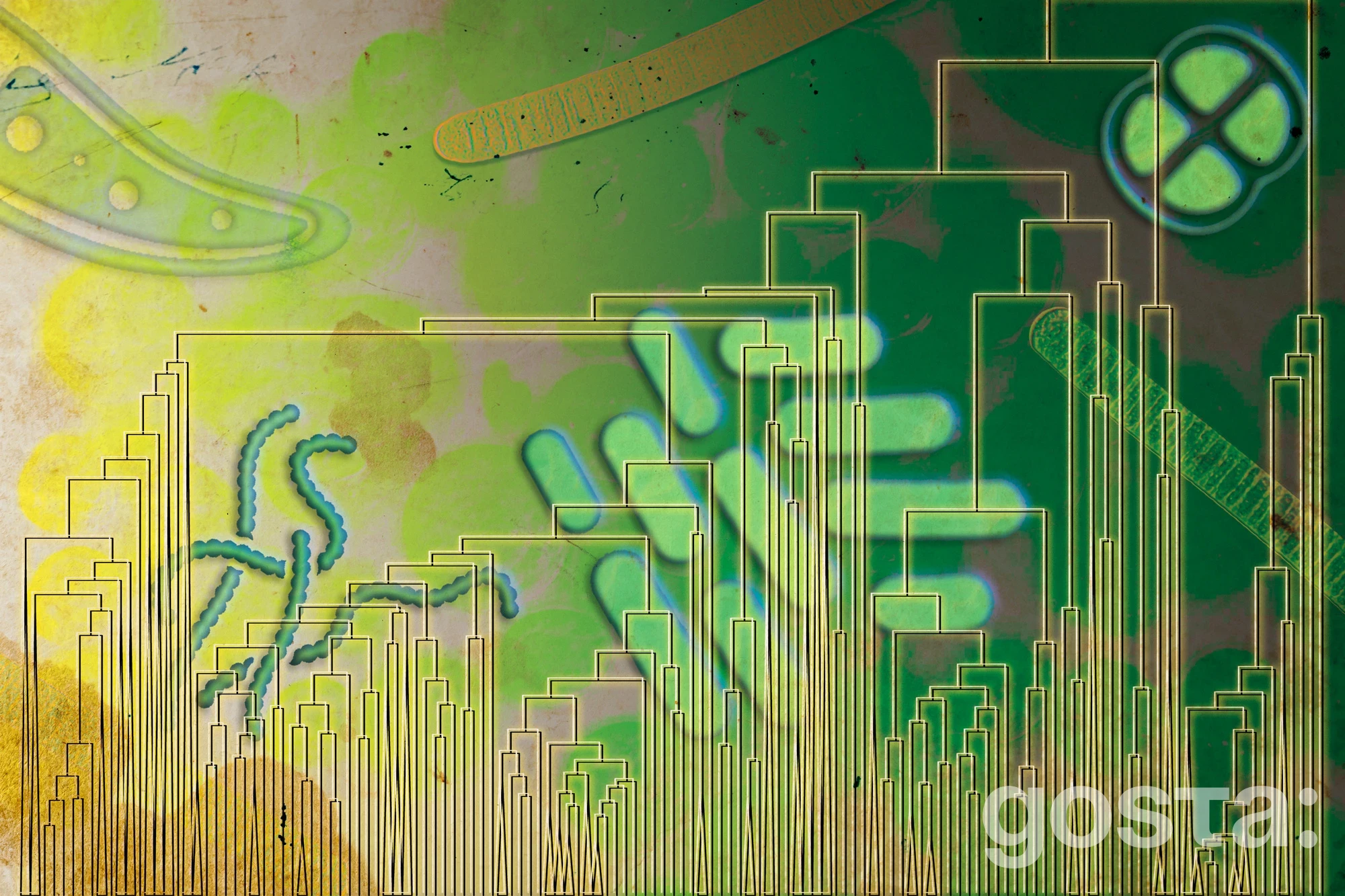 Аеробне дихання виникло задовго до Великої кисневої події? Дослідження MIT переносить дату на сотні мільйонів років