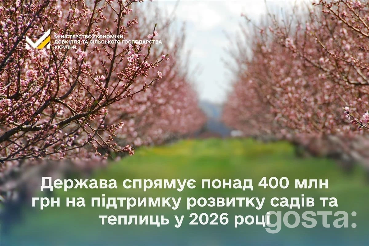 Стартував прийом заявок на державні гранти для садів, ягідників і теплиць: бюджет – понад 400 млн грн