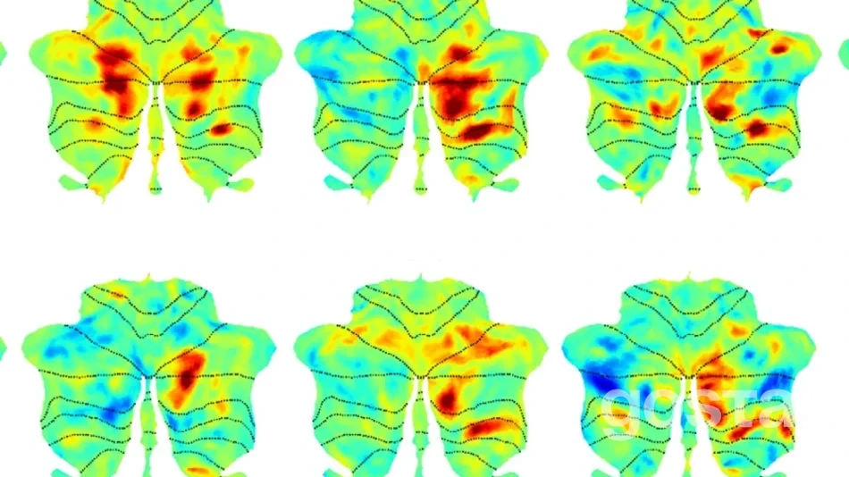 Мовна мережа мозку виходить за межі неокортексу: вчені MIT виявили «супутник» у мозочку